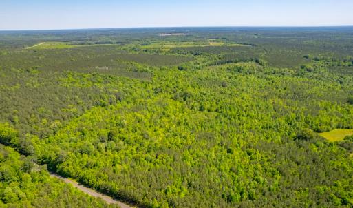 Photo #7 of SOLD property in Off Will Creek Road, Warrenton, NC 15.1 acres