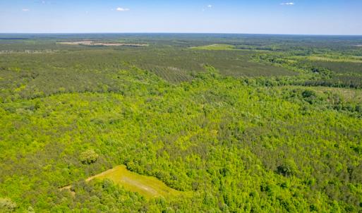 Photo #8 of SOLD property in Off Will Creek Road, Warrenton, NC 15.1 acres