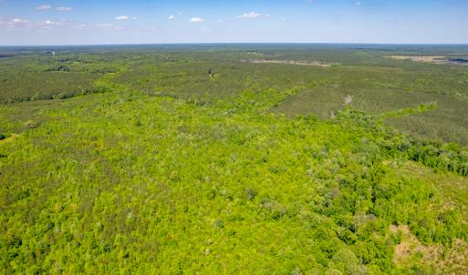 Photo #9 of SOLD property in Off Will Creek Road, Warrenton, NC 15.1 acres