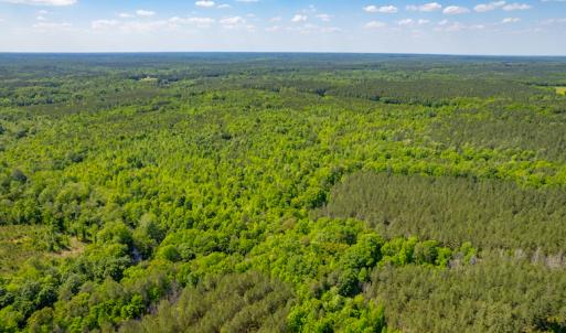 Photo #10 of SOLD property in Off Will Creek Road, Warrenton, NC 15.1 acres