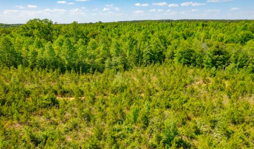 Photo #11 of SOLD property in Off Will Creek Road, Warrenton, NC 15.1 acres