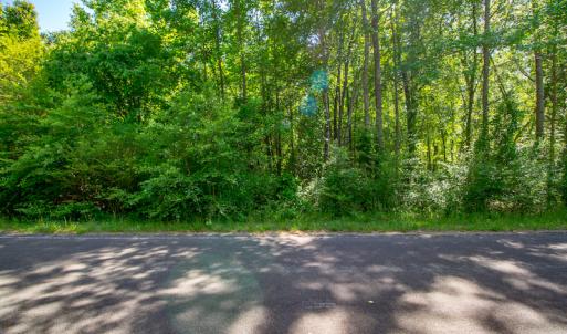 Photo #13 of SOLD property in Off Will Creek Road, Warrenton, NC 15.1 acres