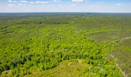 Photo #3 of SOLD property in Off Will Creek Road, Warrenton, NC 15.1 acres