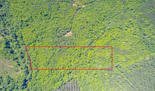 Photo #4 of SOLD property in Off Will Creek Road, Warrenton, NC 15.1 acres