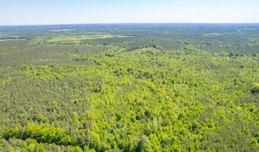 Photo #6 of SOLD property in Off Will Creek Road, Warrenton, NC 15.1 acres