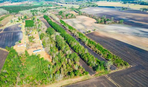Photo #10 of SOLD property in Off Williams Road, Vanceboro, NC 6.1 acres