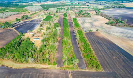 Photo #11 of SOLD property in Off Williams Road, Vanceboro, NC 6.1 acres