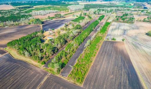 Photo #12 of SOLD property in Off Williams Road, Vanceboro, NC 6.1 acres