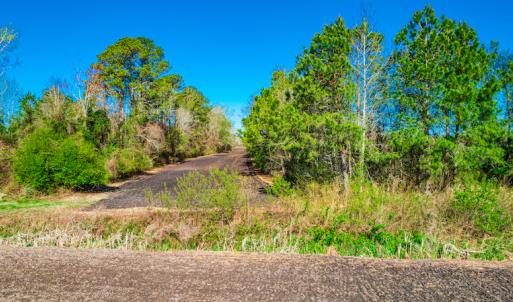 Photo #17 of SOLD property in Off Williams Road, Vanceboro, NC 6.1 acres