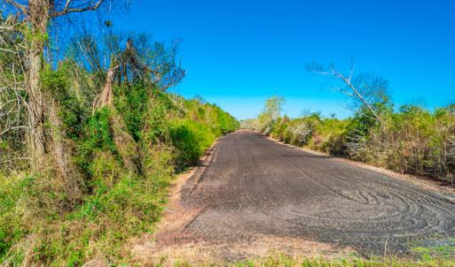 Photo #18 of SOLD property in Off Williams Road, Vanceboro, NC 6.1 acres