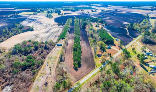Photo #9 of SOLD property in Off Williams Road, Vanceboro, NC 6.1 acres