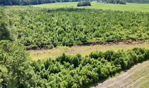 Photo #2 of SOLD property in Off Harding Lane, Chocowinity, NC 25.0 acres