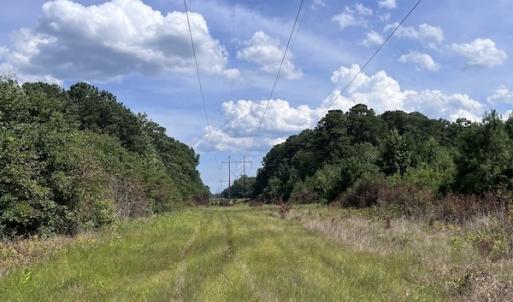 Photo #11 of SOLD property in Off Harding Lane, Chocowinity, NC 25.0 acres