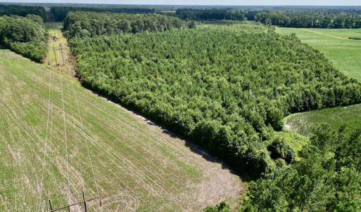 Photo #4 of SOLD property in Off Harding Lane, Chocowinity, NC 25.0 acres