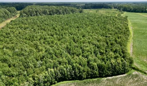 Photo #5 of SOLD property in Off Harding Lane, Chocowinity, NC 25.0 acres