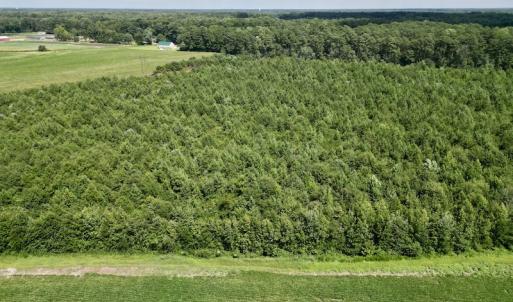 Photo #6 of SOLD property in Off Harding Lane, Chocowinity, NC 25.0 acres