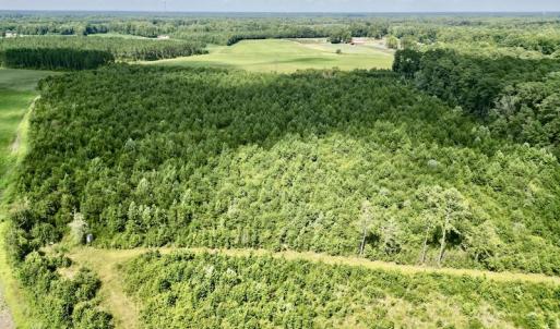 Photo #8 of SOLD property in Off Harding Lane, Chocowinity, NC 25.0 acres