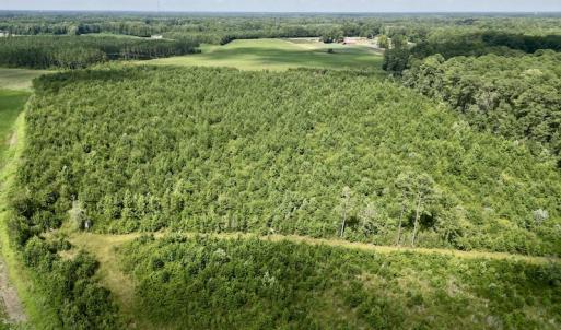 Photo #9 of SOLD property in Off Harding Lane, Chocowinity, NC 25.0 acres