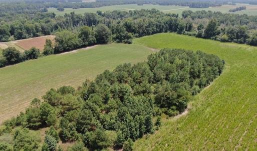 Photo #4 of Off Tobacco Land Road, Dillon, SC 26.9 acres
