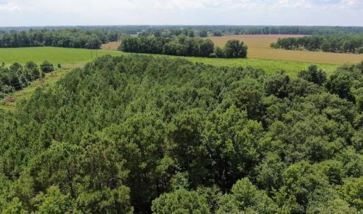 Photo #5 of Off Tobacco Land Road, Dillon, SC 26.9 acres