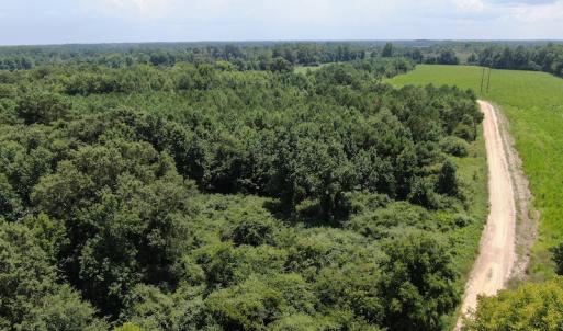 Photo #7 of Off Tobacco Land Road, Dillon, SC 26.9 acres