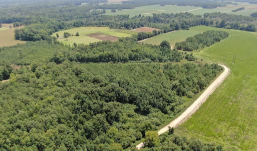 Photo #8 of Off Tobacco Land Road, Dillon, SC 26.9 acres