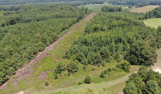Photo #10 of Off Tobacco Land Road, Dillon, SC 26.9 acres
