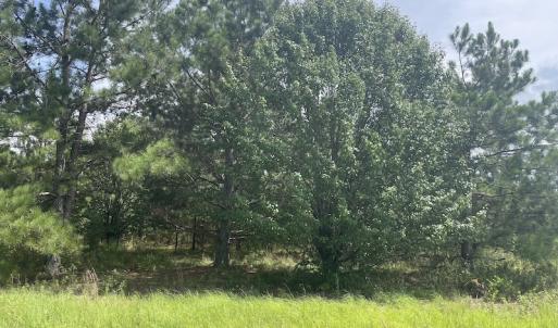 Photo #11 of Off Tobacco Land Road, Dillon, SC 26.9 acres