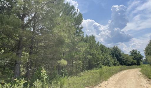 Photo #12 of Off Tobacco Land Road, Dillon, SC 26.9 acres