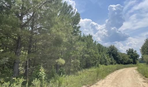 Photo #13 of Off Tobacco Land Road, Dillon, SC 26.9 acres