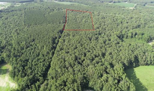 Photo #8 of Off 307 Jamestown Road, Merry Hill, NC 9.5 acres