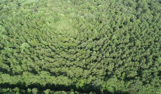 Photo #12 of Off 307 Jamestown Road, Merry Hill, NC 9.5 acres