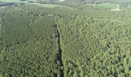 Photo #13 of Off 307 Jamestown Road, Merry Hill, NC 9.5 acres