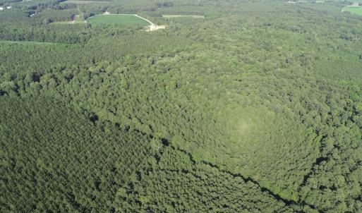 Photo #14 of Off 307 Jamestown Road, Merry Hill, NC 9.5 acres