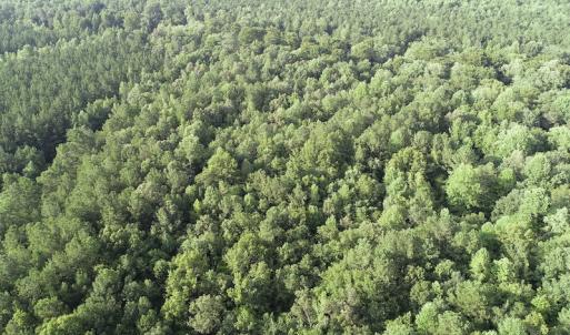 Photo #15 of Off 307 Jamestown Road, Merry Hill, NC 9.5 acres