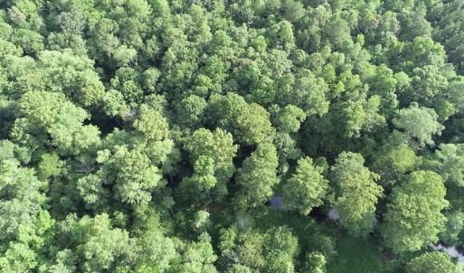 Photo #16 of Off 307 Jamestown Road, Merry Hill, NC 9.5 acres