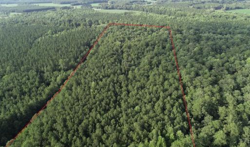 Photo #3 of Off 307 Jamestown Road, Merry Hill, NC 9.5 acres