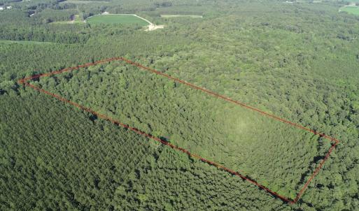 Photo #4 of Off 307 Jamestown Road, Merry Hill, NC 9.5 acres