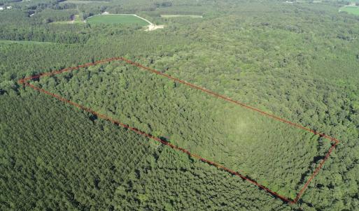 Photo #4 of Off 307 Jamestown Road, Merry Hill, NC 9.5 acres
