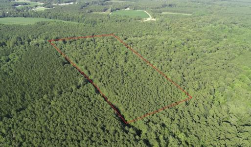 Photo #5 of Off 307 Jamestown Road, Merry Hill, NC 9.5 acres