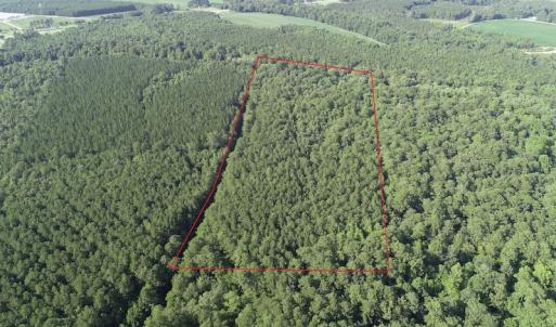 Photo #6 of Off 307 Jamestown Road, Merry Hill, NC 9.5 acres