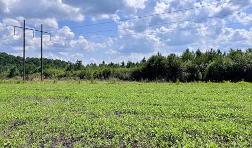 Photo #15 of SOLD property in Off Harding Lane, Chocowinity, NC 25.0 acres
