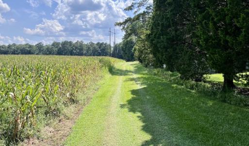 Photo #17 of SOLD property in Off Harding Lane, Chocowinity, NC 25.0 acres