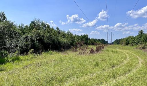 Photo #12 of SOLD property in Off Harding Lane, Chocowinity, NC 25.0 acres