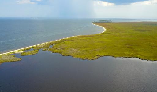 Photo #4 of SOLD property in 100 Davis Beach, Mashoes, NC 541.0 acres