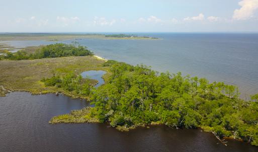 Photo #5 of SOLD property in 100 Davis Beach, Mashoes, NC 541.0 acres