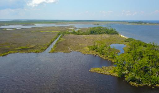 Photo #6 of SOLD property in 100 Davis Beach, Mashoes, NC 541.0 acres