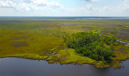 Photo #7 of SOLD property in 100 Davis Beach, Mashoes, NC 541.0 acres