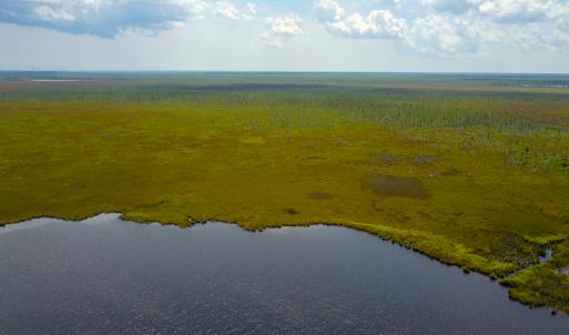 Photo #8 of SOLD property in 100 Davis Beach, Mashoes, NC 541.0 acres