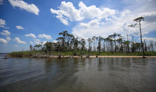 Photo #14 of SOLD property in 100 Davis Beach, Mashoes, NC 541.0 acres